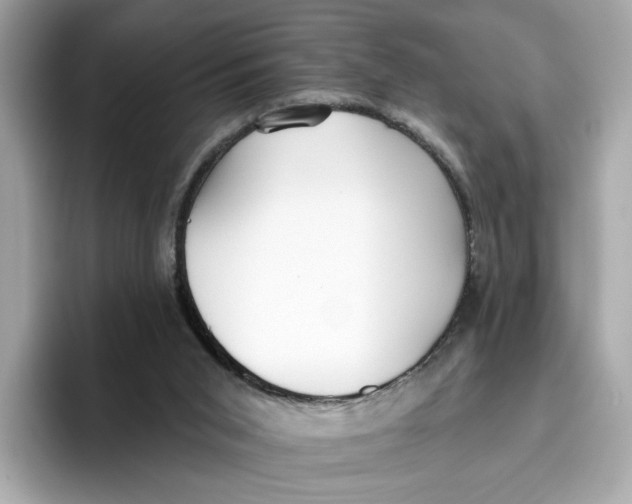 X0000096450015200802141521