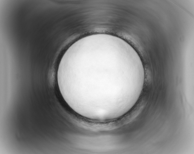 X0000096450016200802141521