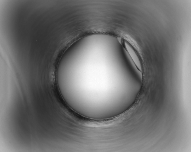 X0000096450017200802141521