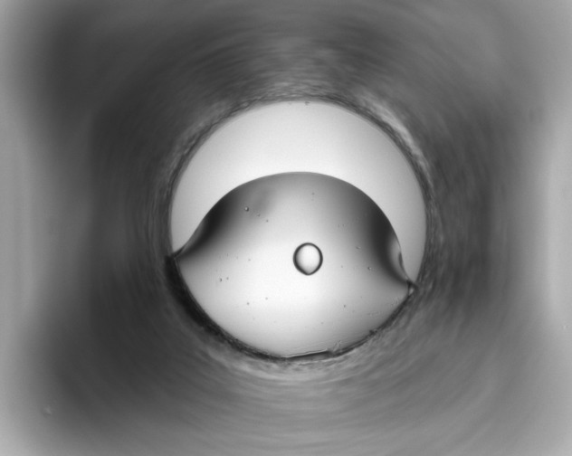 X0000096450019200802141521