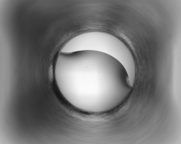 X0000096450020200802141521