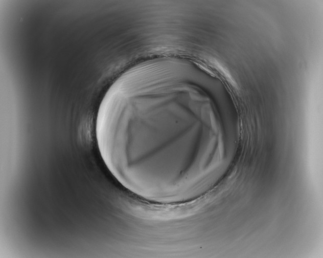 X0000096450023200802141521