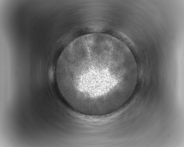 X0000096450026200802141521