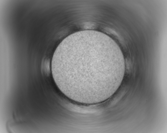 X0000096450028200802141521