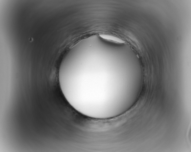 X0000096450029200802141521