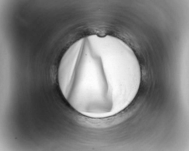 X0000096450030200802141521