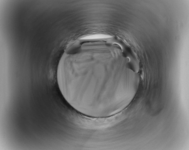 X0000096450031200802141521