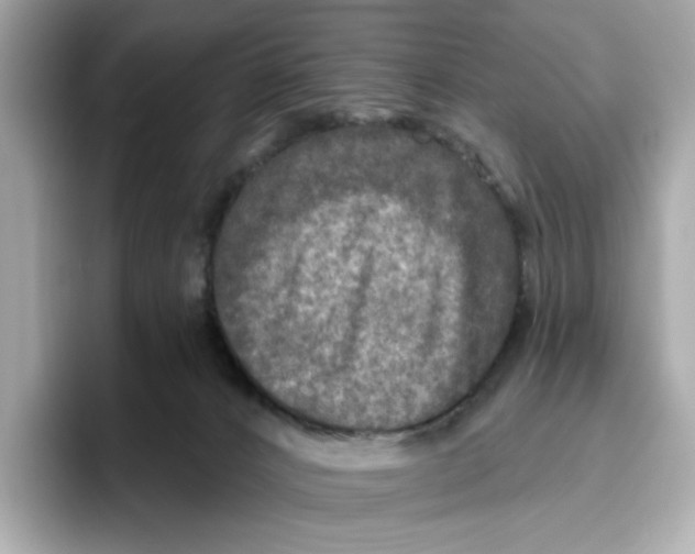 X0000096450032200802141521