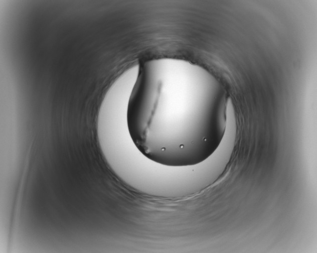 X0000096450033200802141521