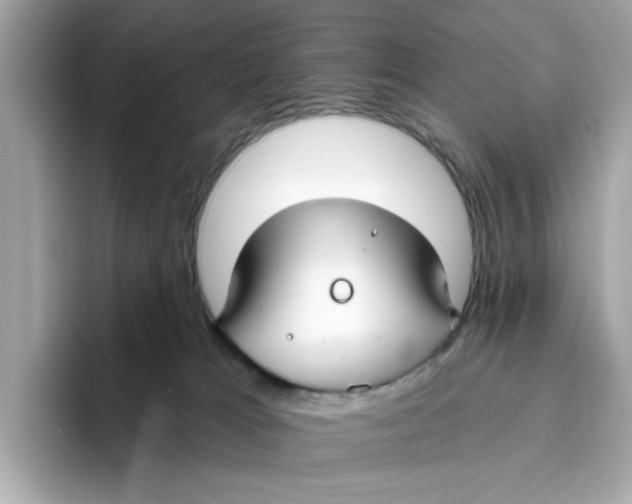 X0000096450037200802141521