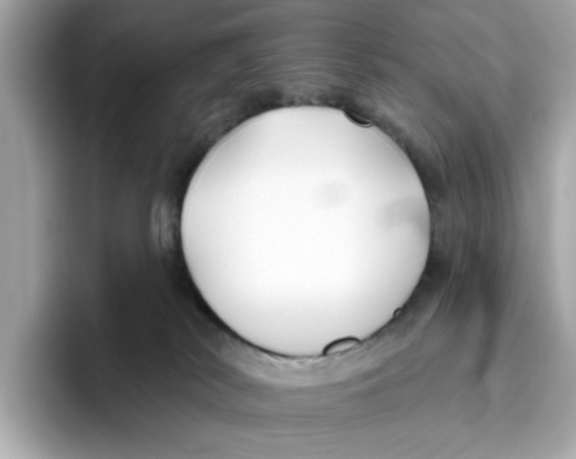 X0000096450038200802141521