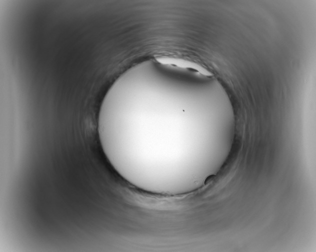 X0000096450040200802141521