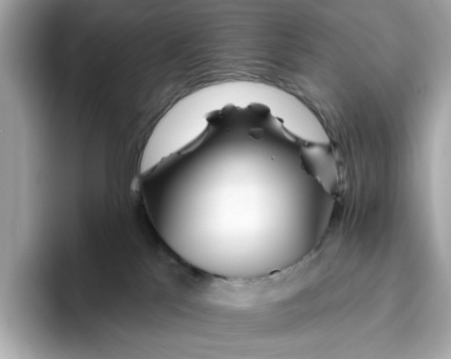 X0000096450041200802141521