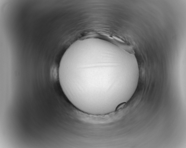 X0000096450042200802141521