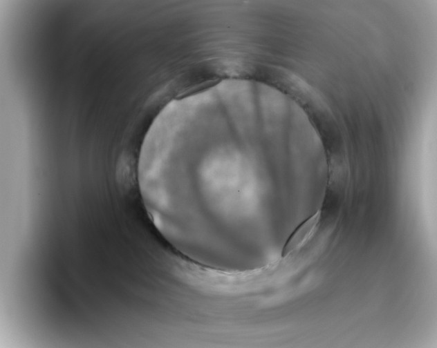 X0000096450043200802141521