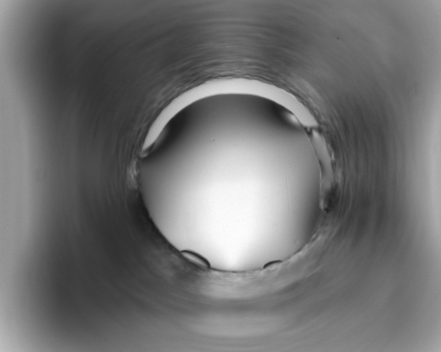 X0000096450045200802141521