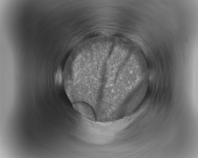 X0000096450046200802141521