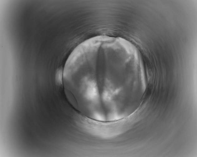 X0000096450047200802141521