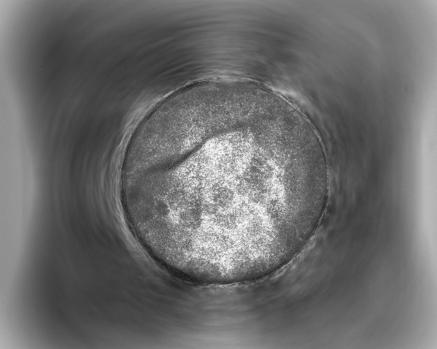 X0000096450049200802141520