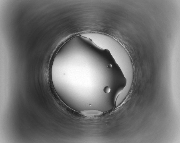 X0000096450050200802141520