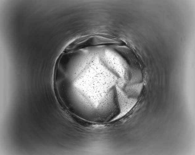 X0000096450052200802141520