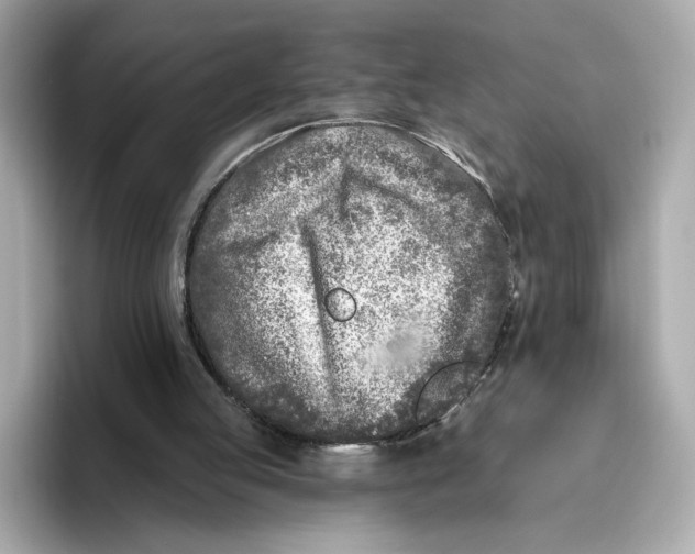 X0000096450053200802141520