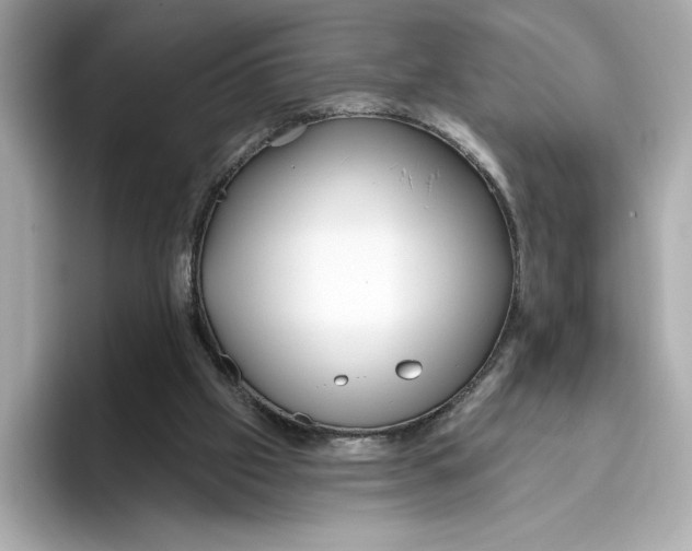 X0000096450057200802141520