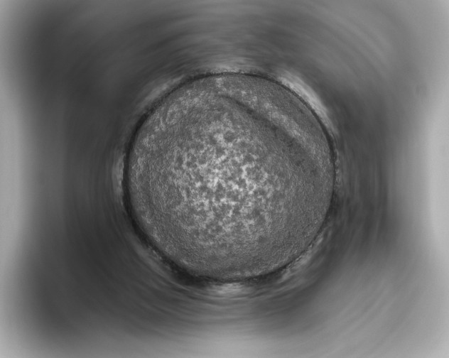 X0000096450058200802141520