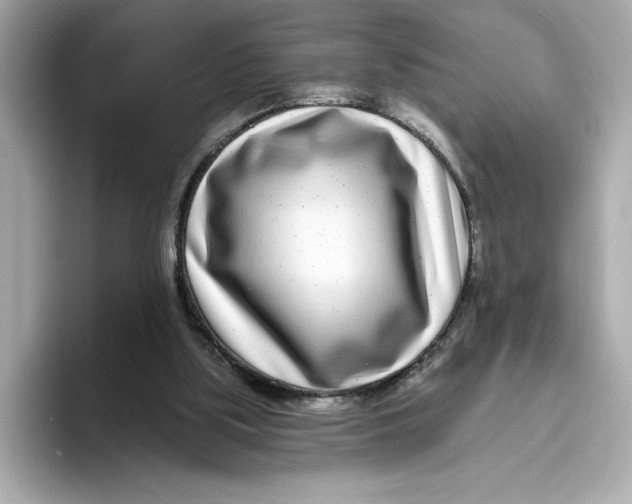 X0000096450059200802141520