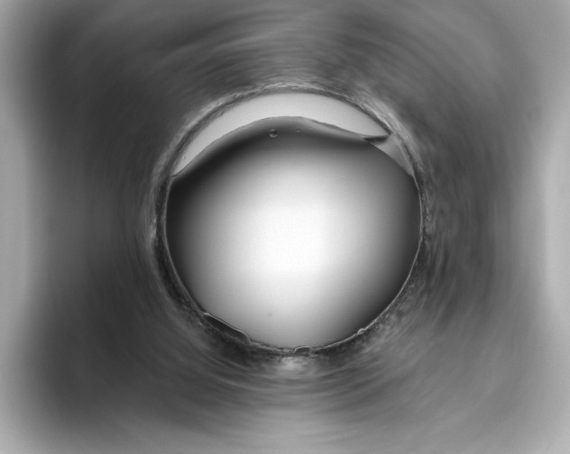 X0000096450060200802141520