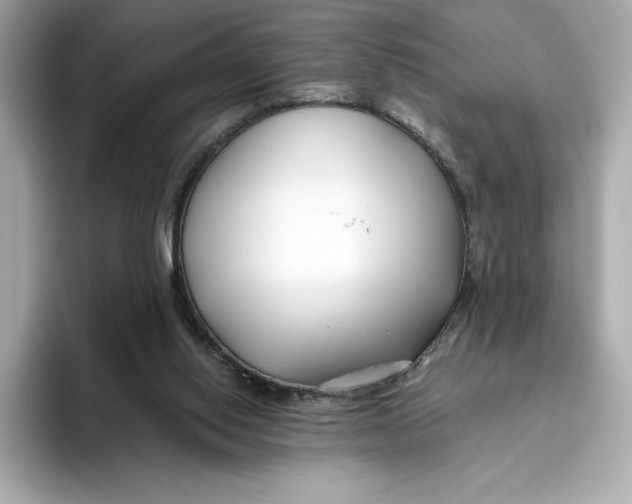 X0000096450062200802141520