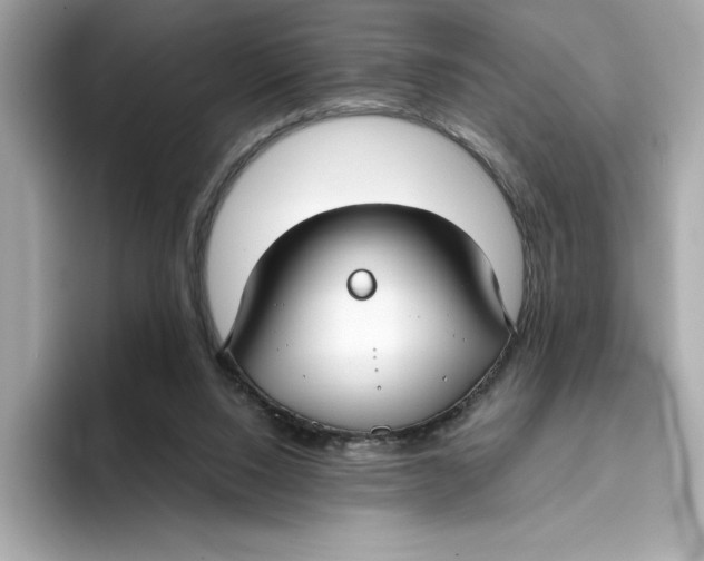 X0000096450064200802141520