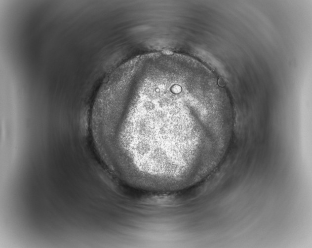 X0000096450065200802141520