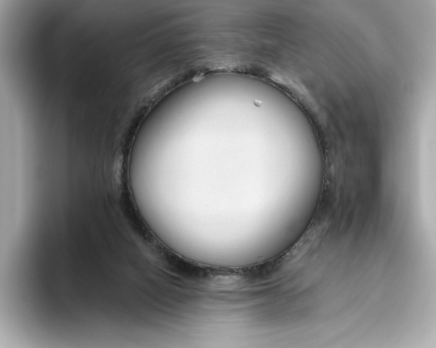 X0000096450066200802141520