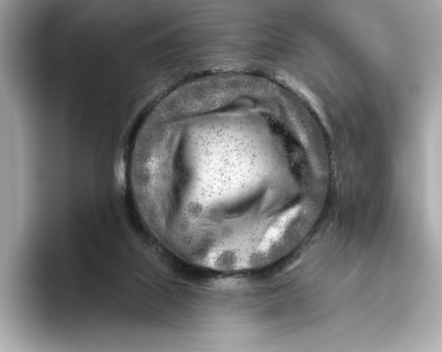 X0000096450067200802141520