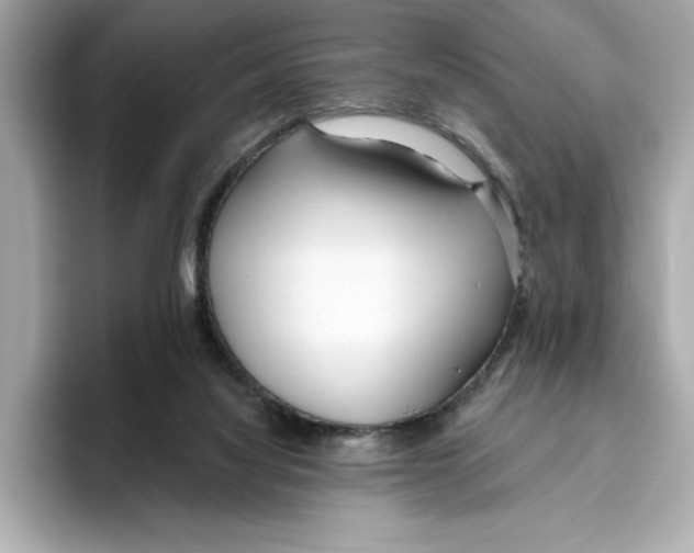 X0000096450068200802141520