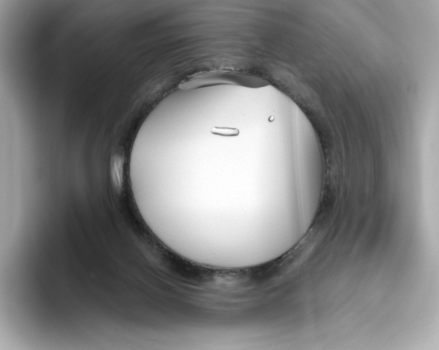 X0000096450070200802141520