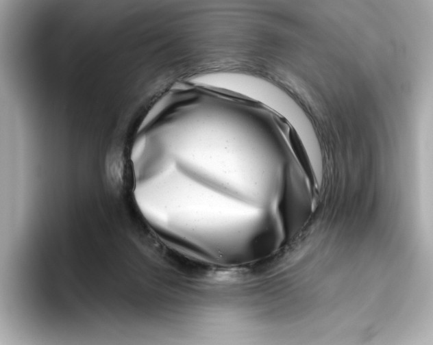 X0000096450072200802141520