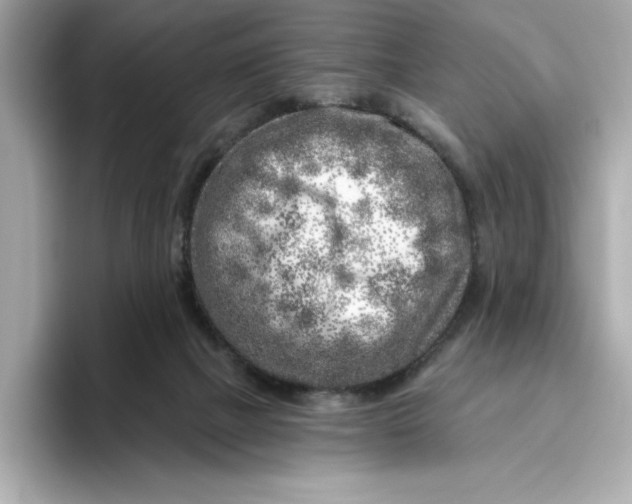 X0000096450073200802141520