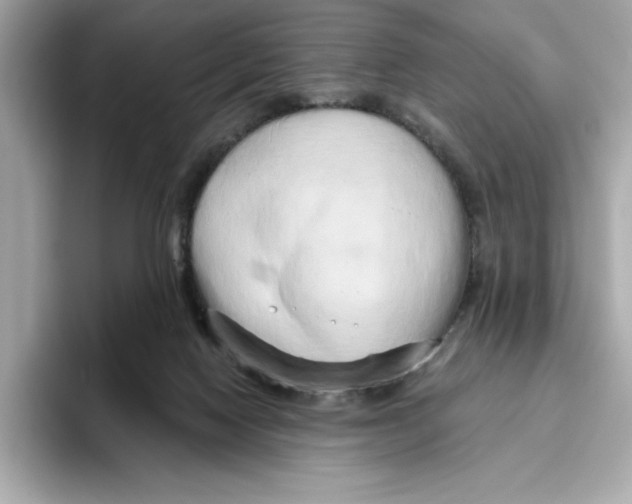 X0000096450074200802141520