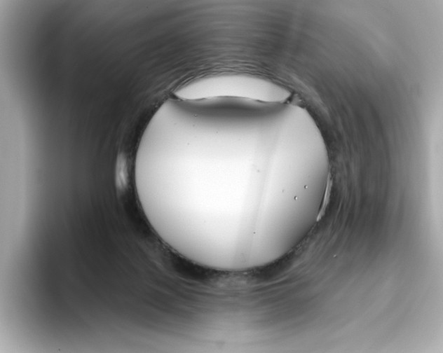 X0000096450075200802141520