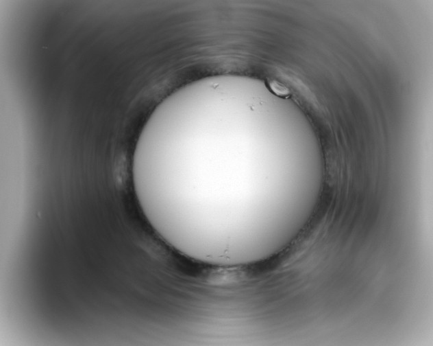 X0000096450077200802141520