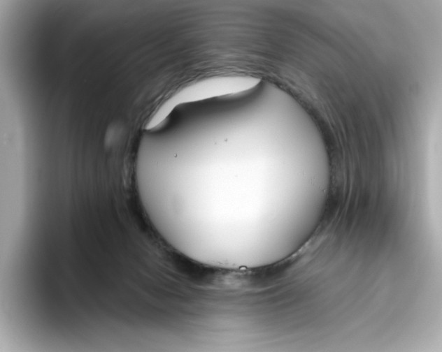 X0000096450078200802141520