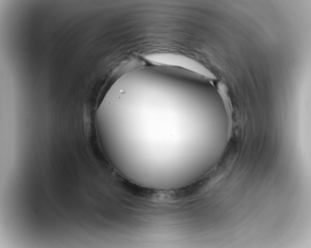 X0000096450080200802141520