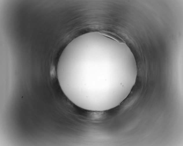 X0000096450089200802141521