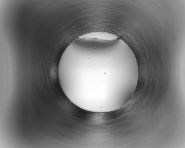 X0000096450090200802141521