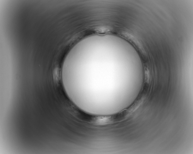 X0000096450093200802141521