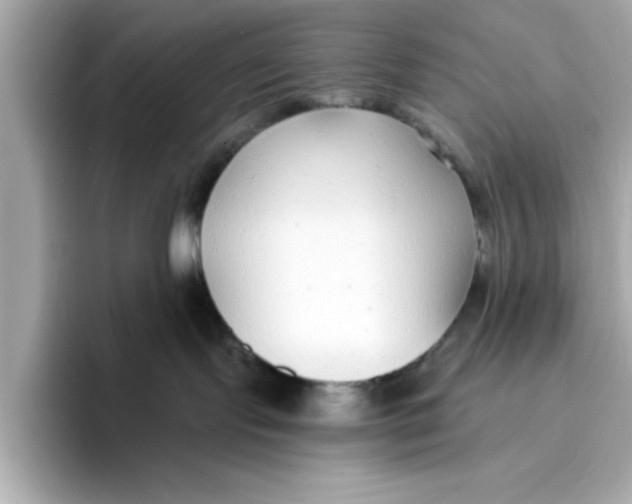 X0000096450095200802141521