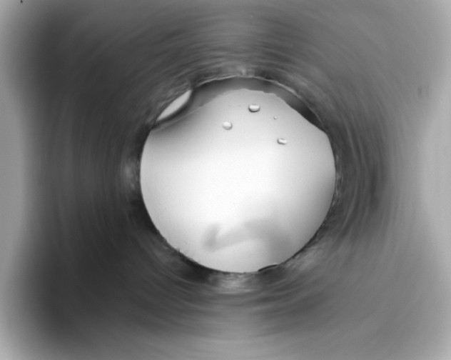 X0000096450096200802141521