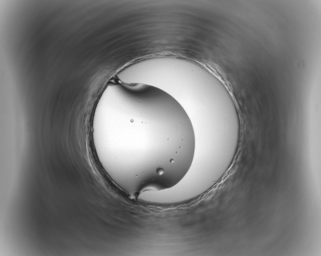 X0000096450097200802141520